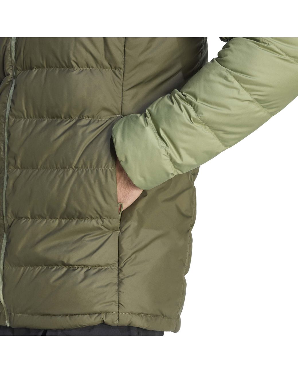Adidas Green Mt Down Hooded Jacket for men