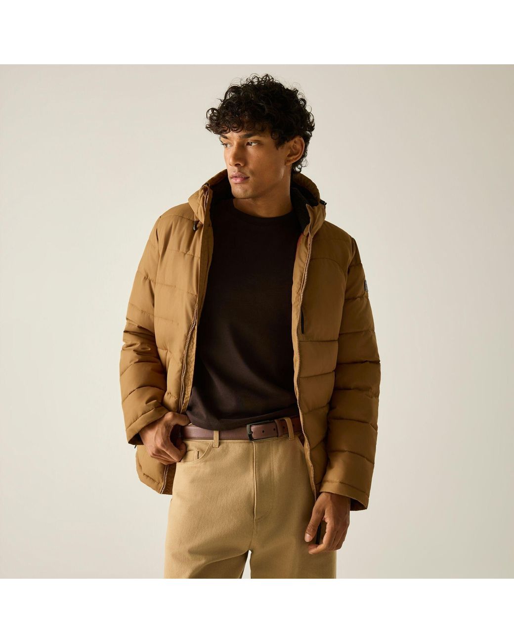 Regatta Brown Frankie Padded Jacket for men