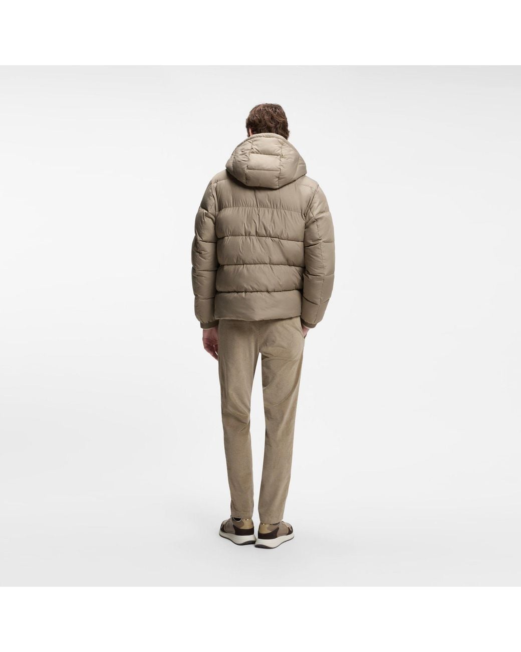 Boss Multicolor Hbb Colter Puff Jkt Sn64 for men