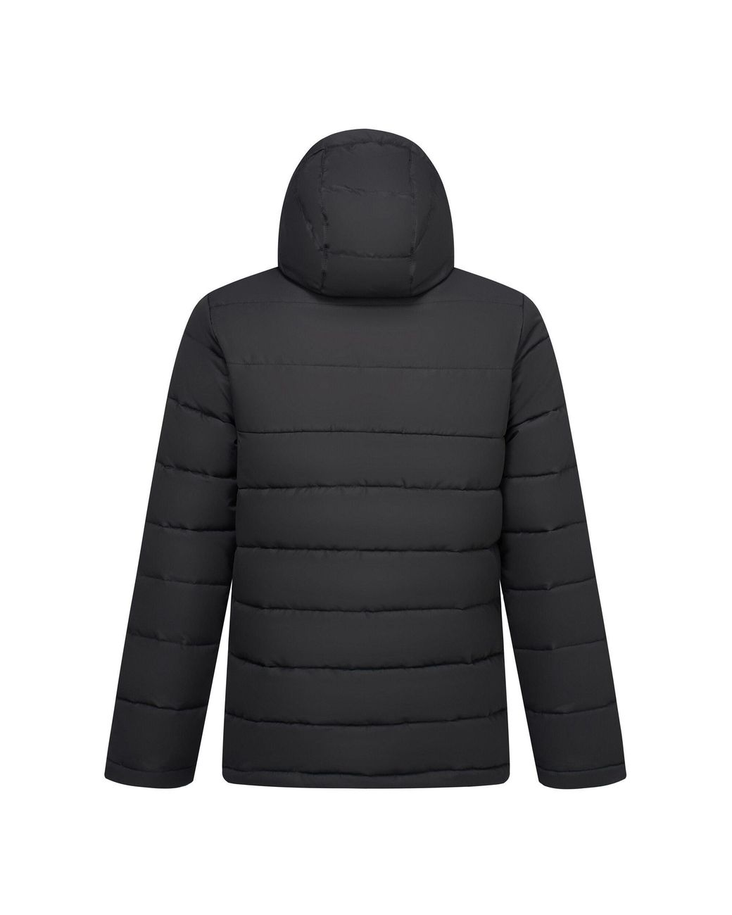Regatta Black Frankie Padded Jacket for men