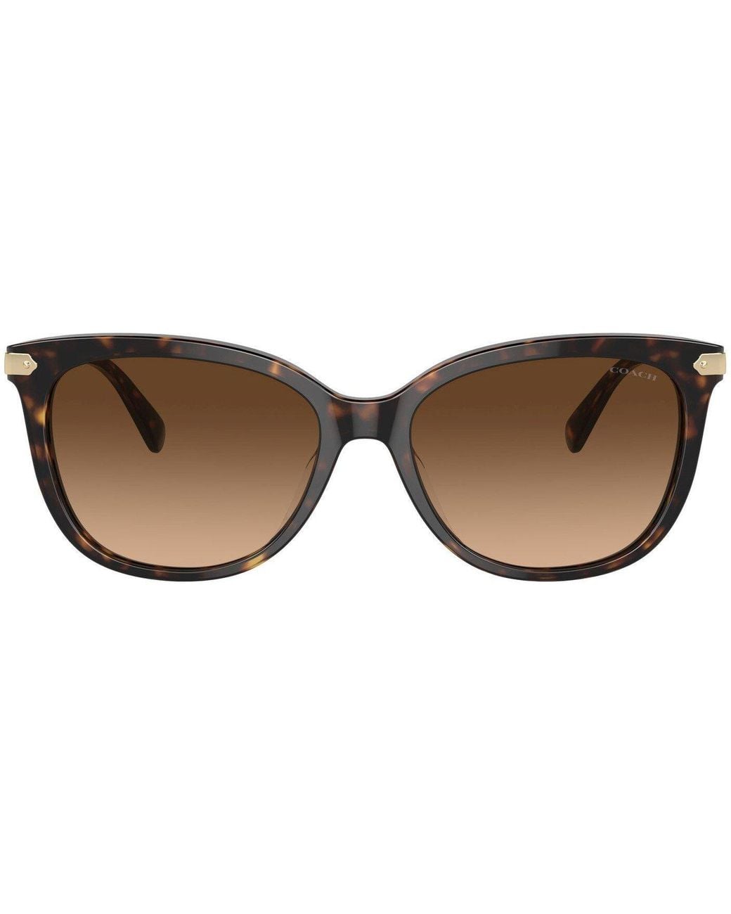 COACH Brown Round Sunglasses