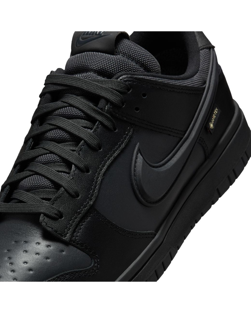 Nike Black Dunk Low Gtx Leather Runners for men