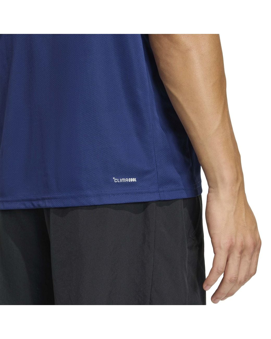 Adidas Blue Training Essentials Base T Shirt for men