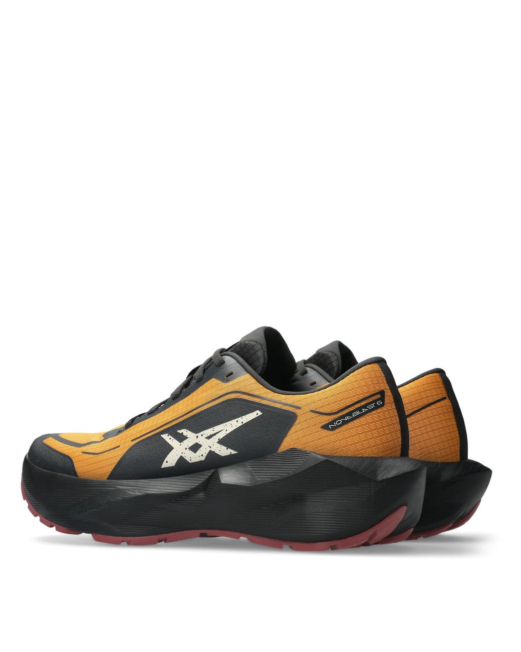 Asics Blue Novablast 6Gtx Sn64 for men