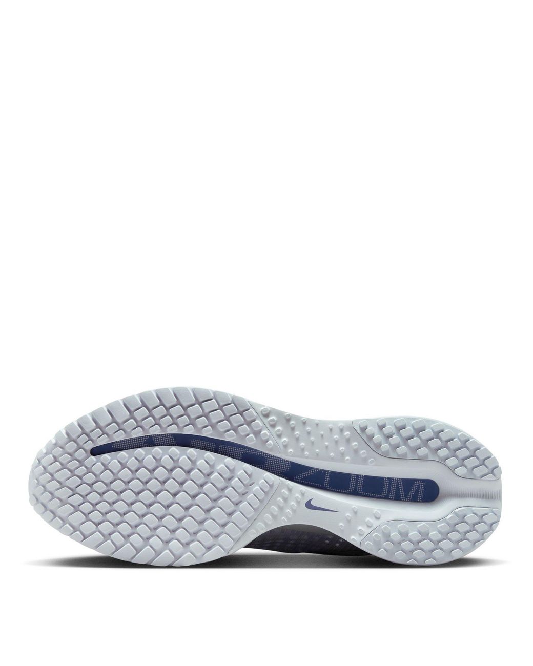 Nike Blue Pegasus Premium Trainers