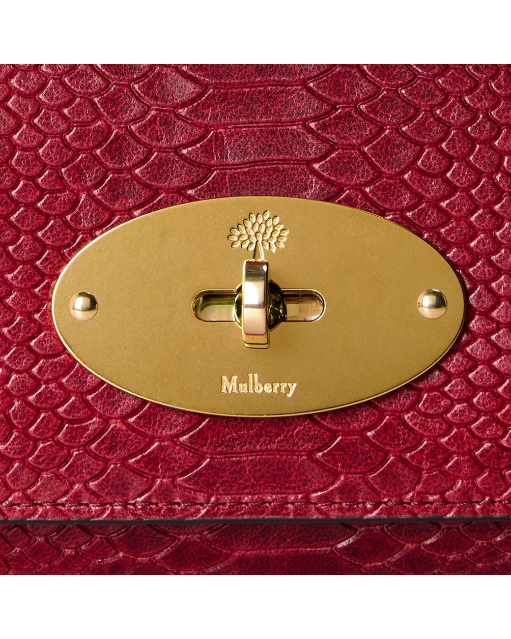 Mulberry Red Lily Leather Wallet On Chain