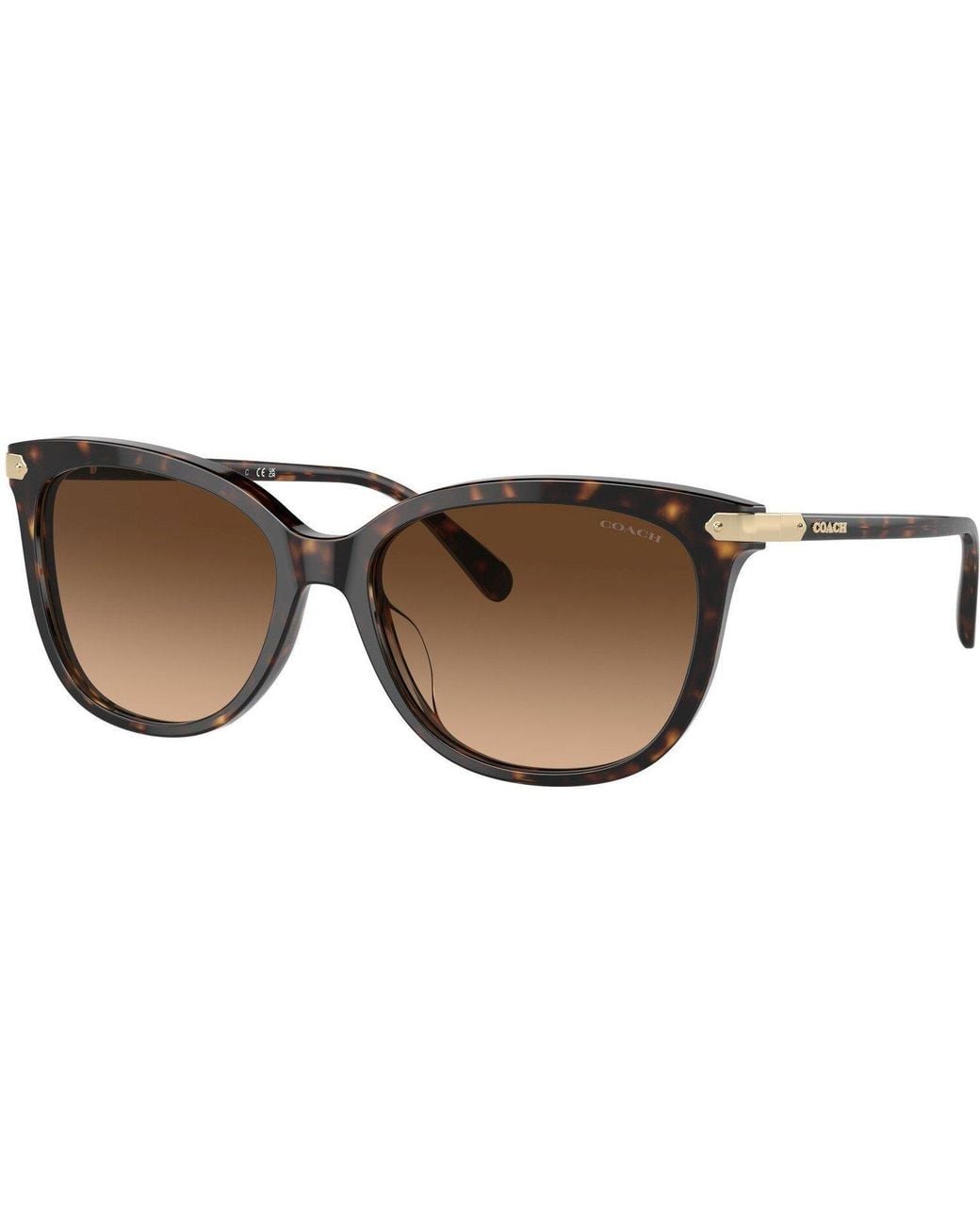 COACH Brown Round Sunglasses