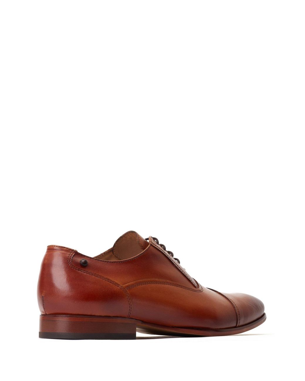 Base London Brown Angelo Derby for men