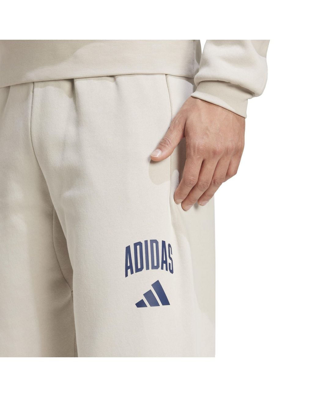 Adidas Natural Collegiate Pant for men