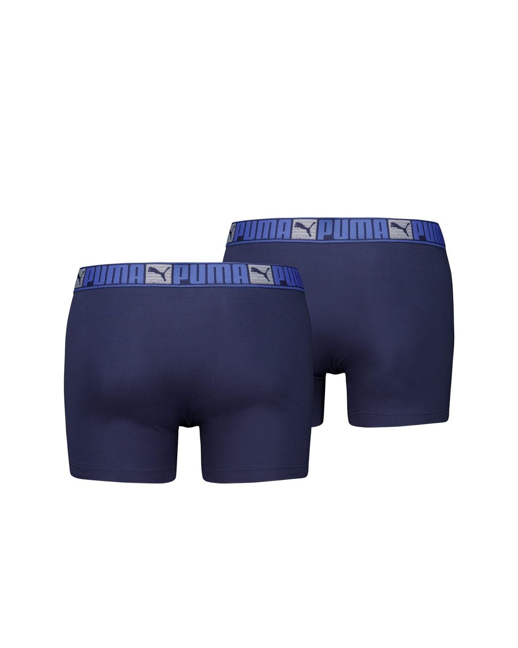 PUMA Blue Lg Block El for men