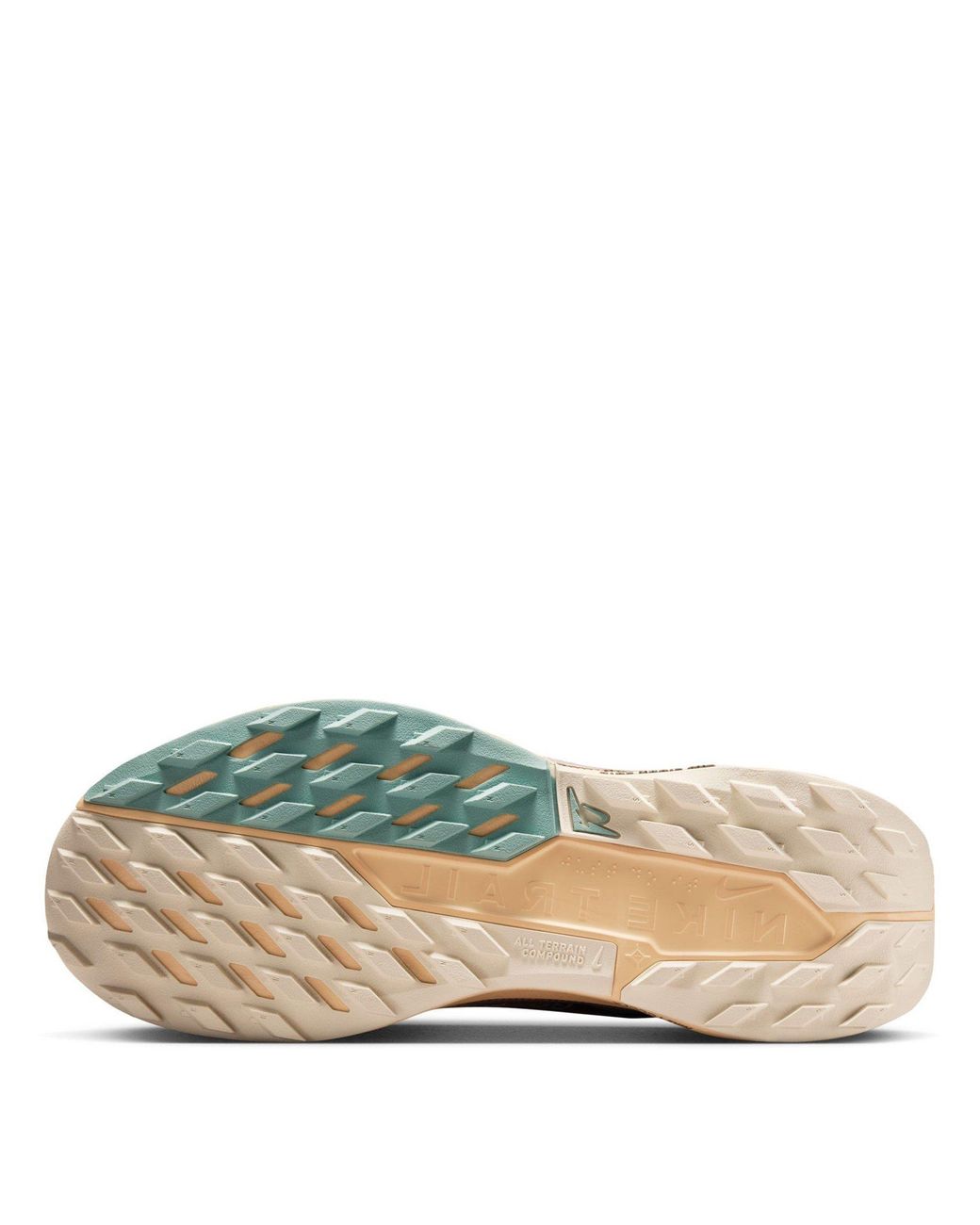 Nike Brown Pegasus Trail 5 Gore-Tex Running Shoes
