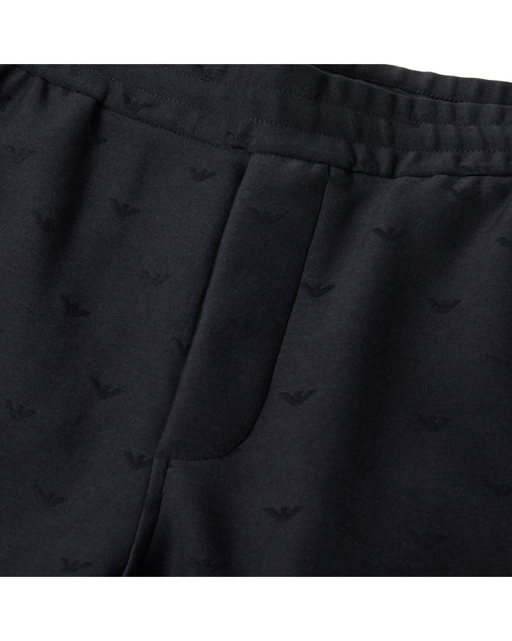 Emporio Armani Blue Closed Hem Fleece Joggers for men