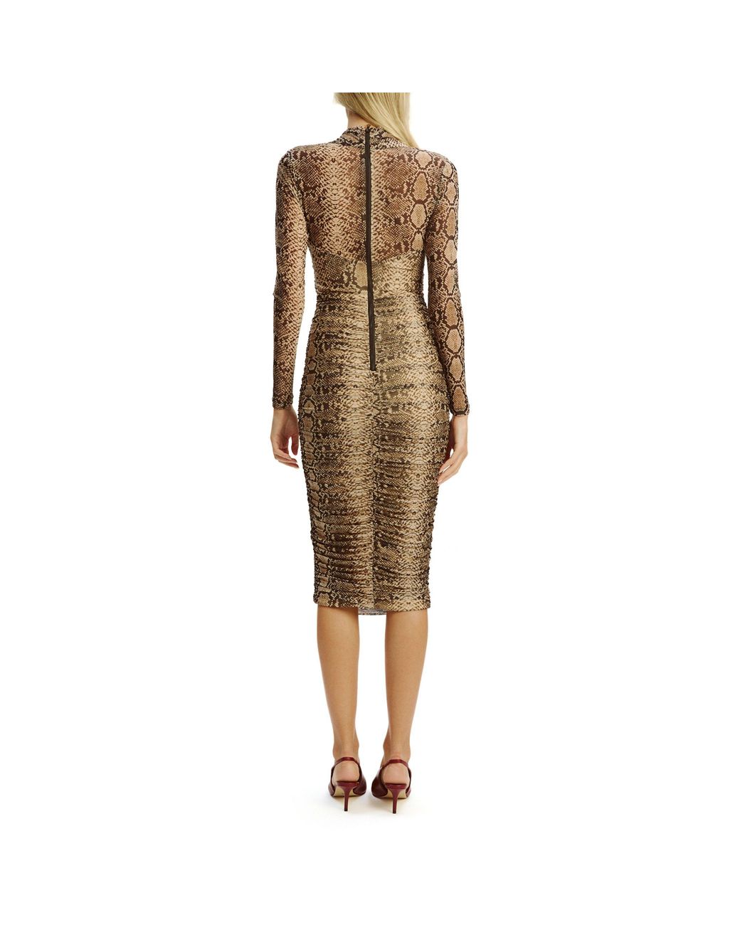 Bardot Brown Aliyah Midi Bodycon Dress