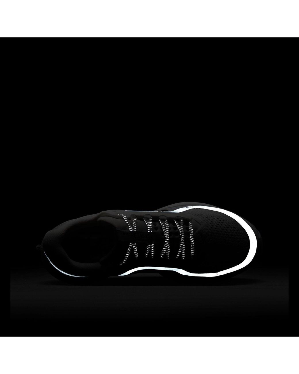 Nike Gray Pegasus Premium Trainers