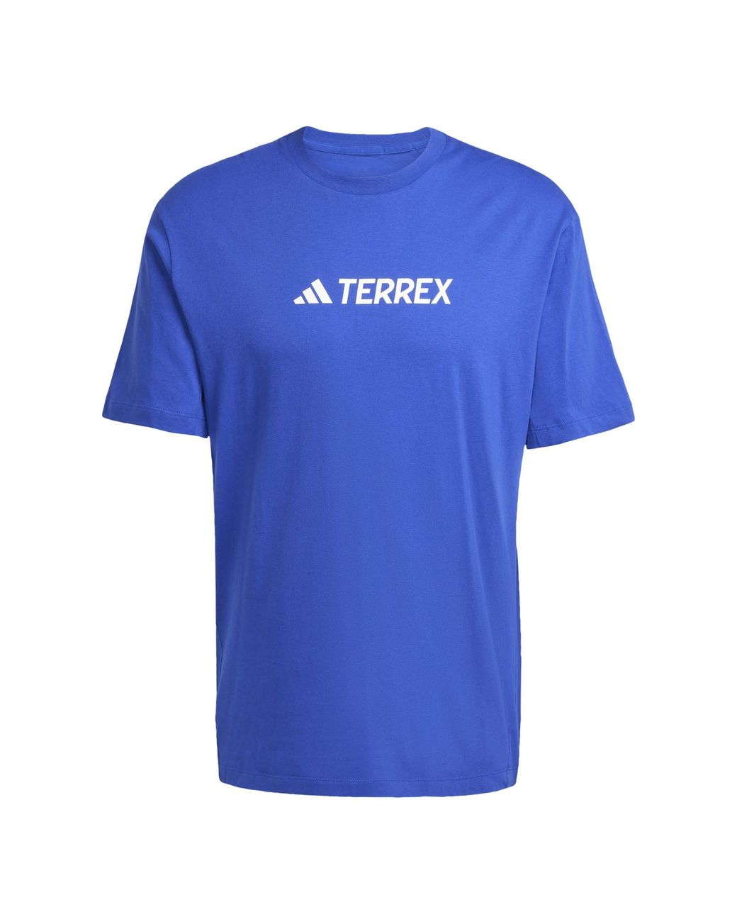 Adidas Blue Terrex Classic Logo T-Shirt for men
