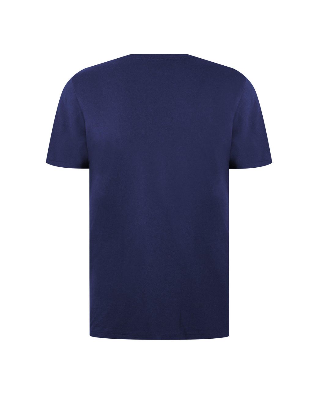 Polo Ralph Lauren Blue Box Logo T-Shirt for men
