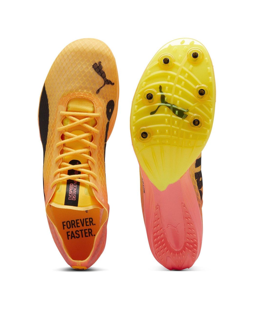 PUMA Yellow Evospeed Distance Nitro E Track Running Spikes for men