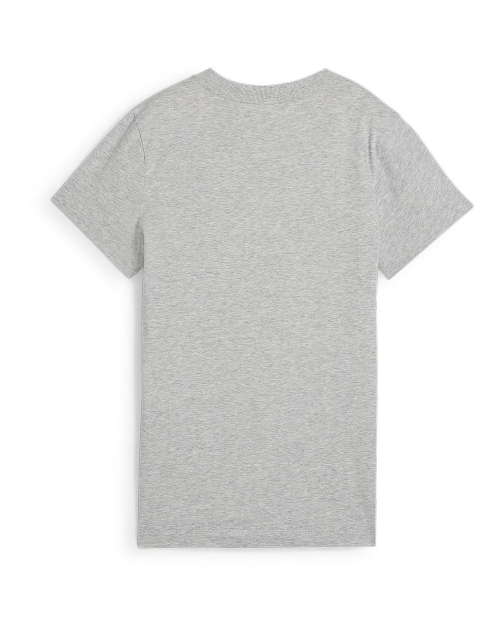 PUMA Gray Squad Graphic Regular Fit T-Shirt