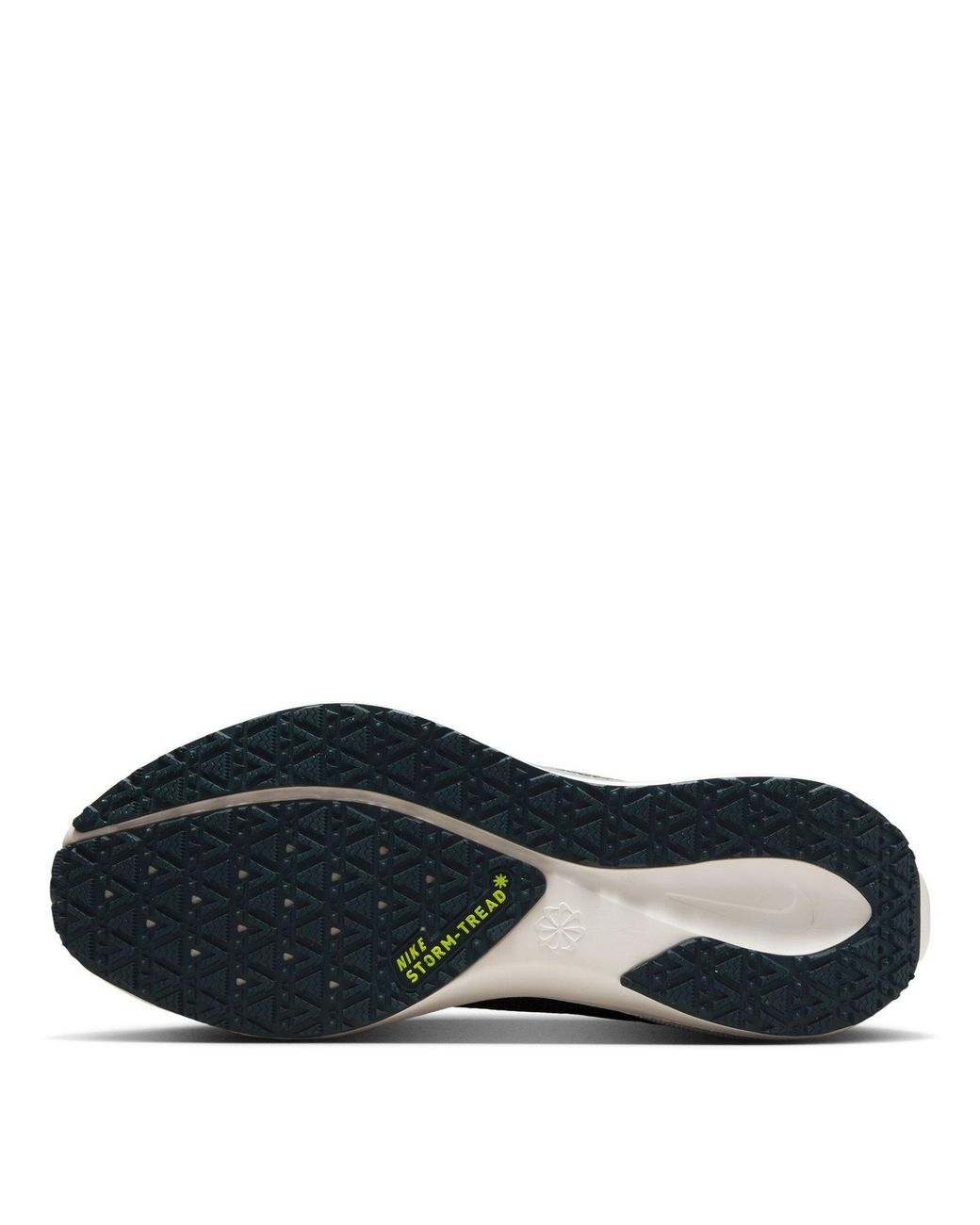 Nike Green Pegasus 41 Gore-Tex Waterproof Road Running Shoes