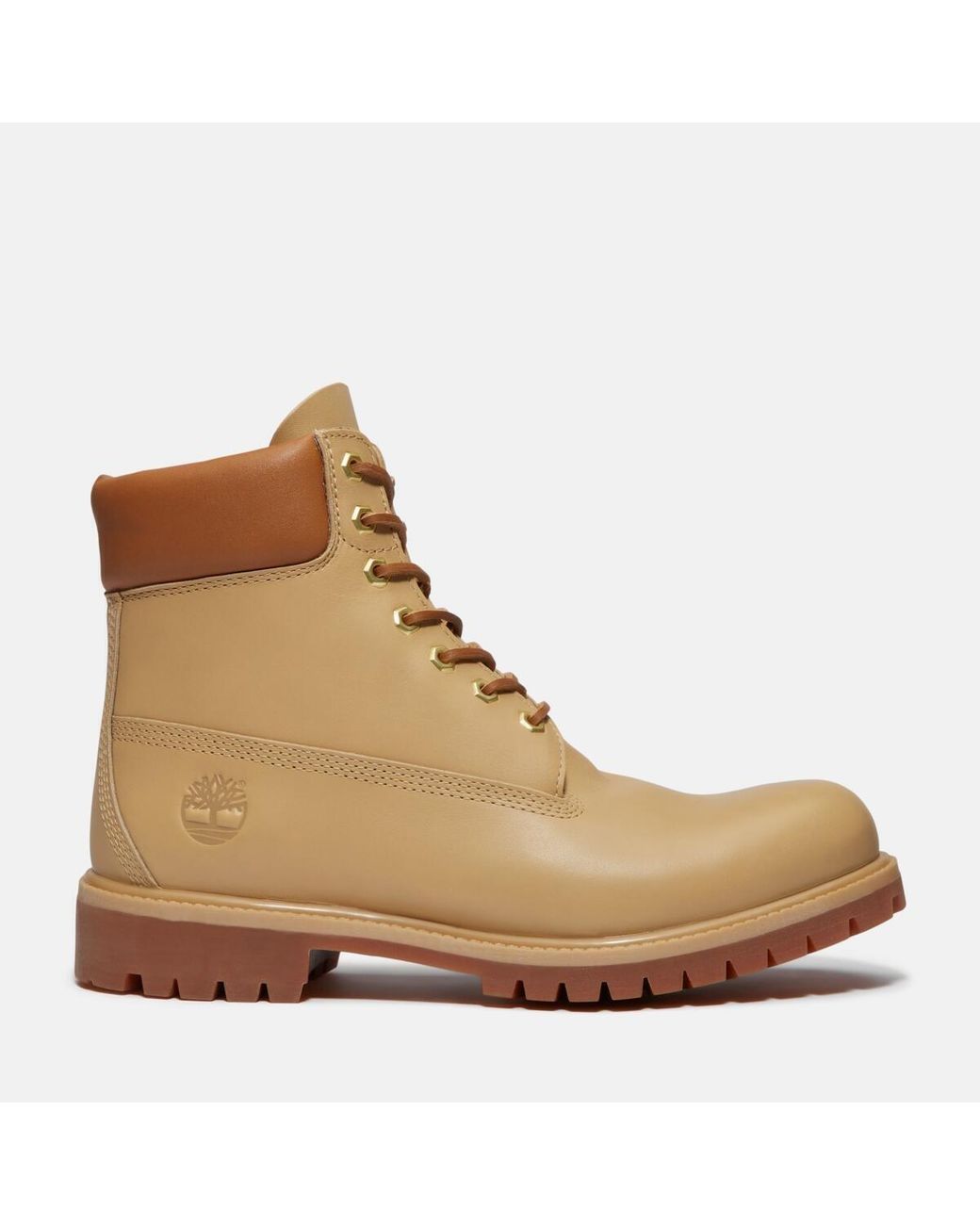 Timberland Brown Founder's 6-Inch Waterproof Boot For for men
