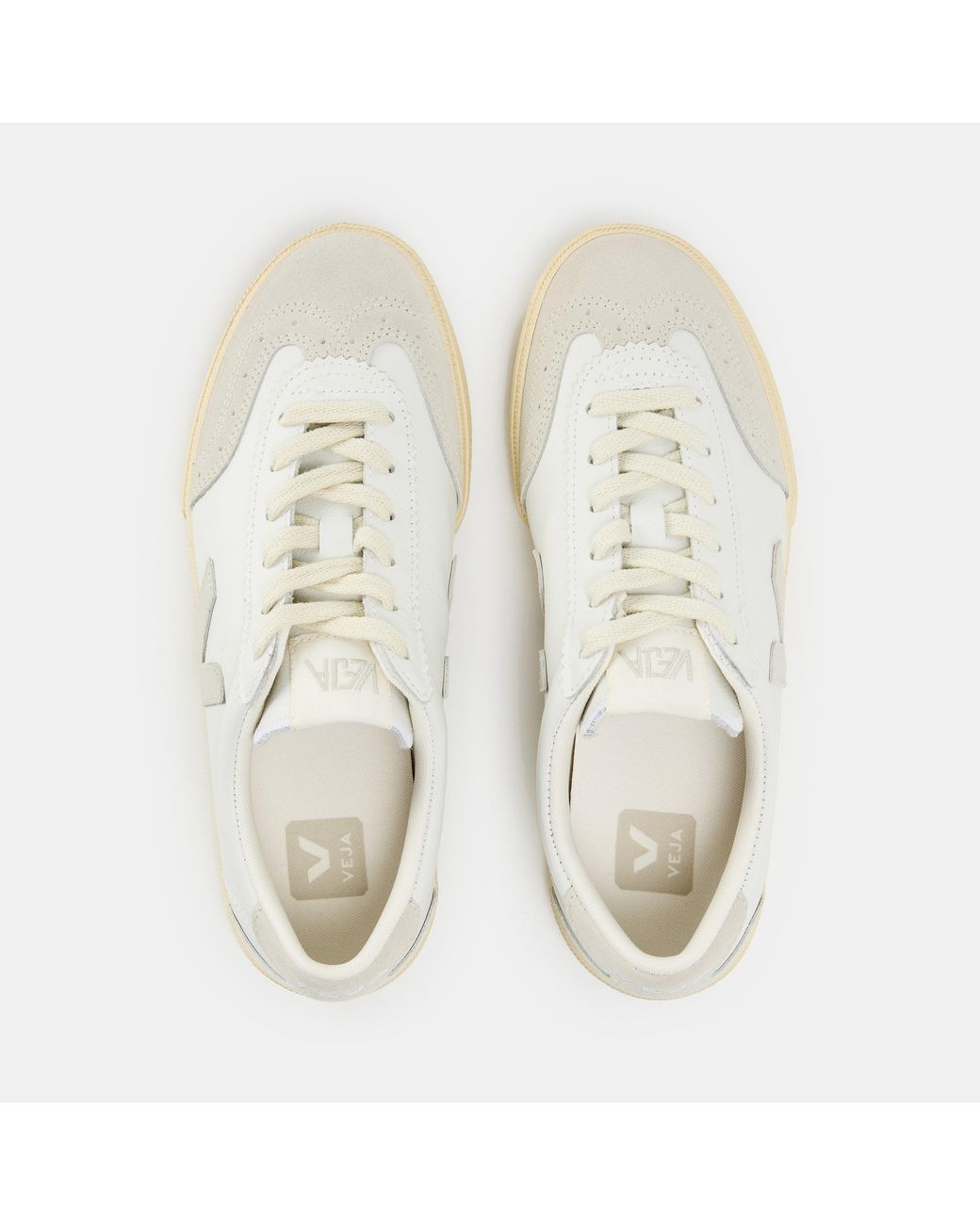 Veja White Volley Court Trainers
