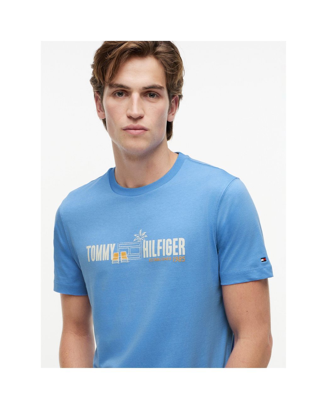 Tommy Hilfiger Blue T-Shirt for men
