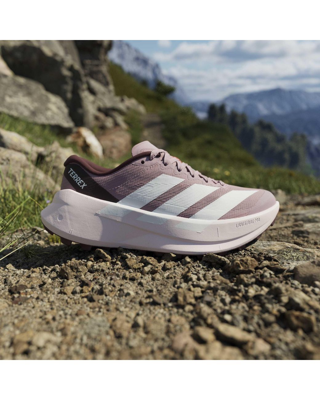 Adidas Multicolor Terrex Agravic Sl Trail Running Shoes