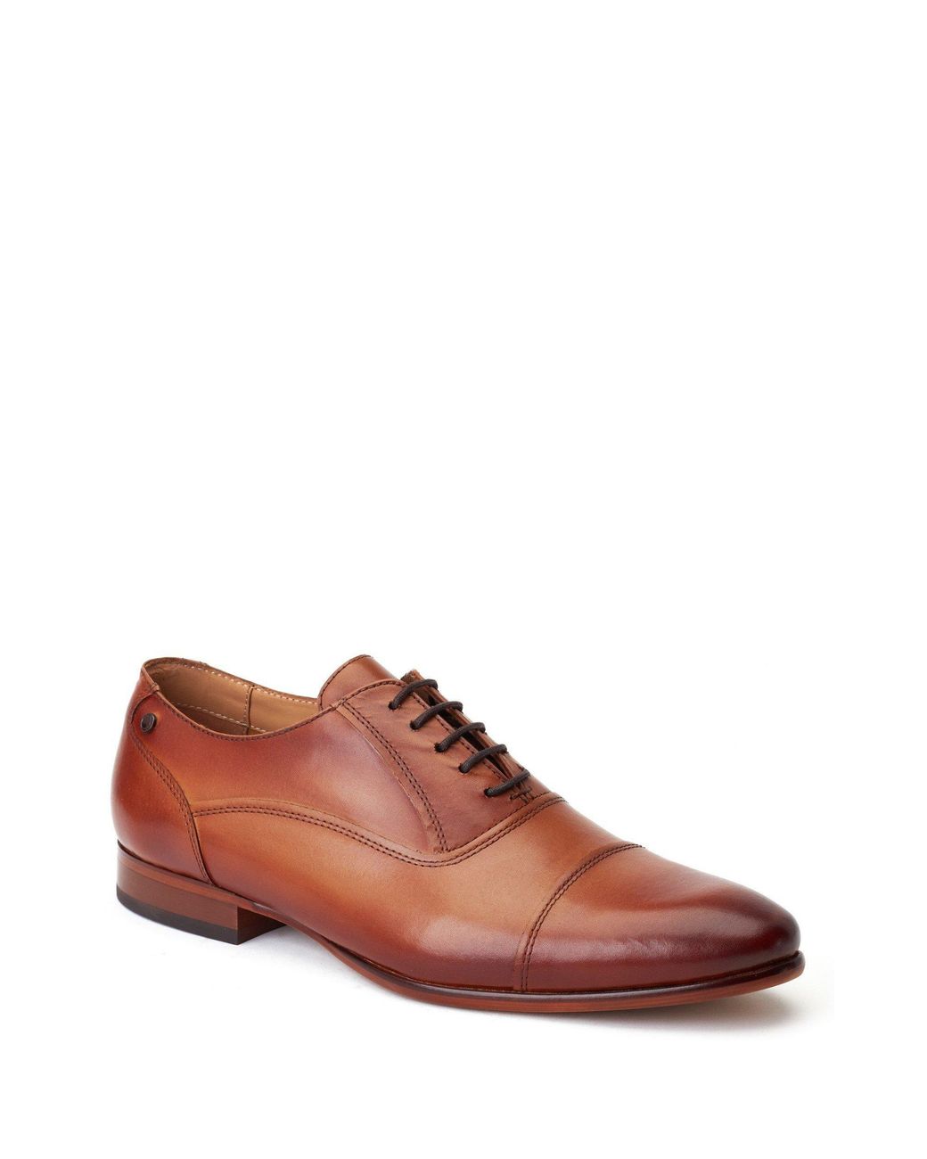 Base London Brown Angelo Derby for men