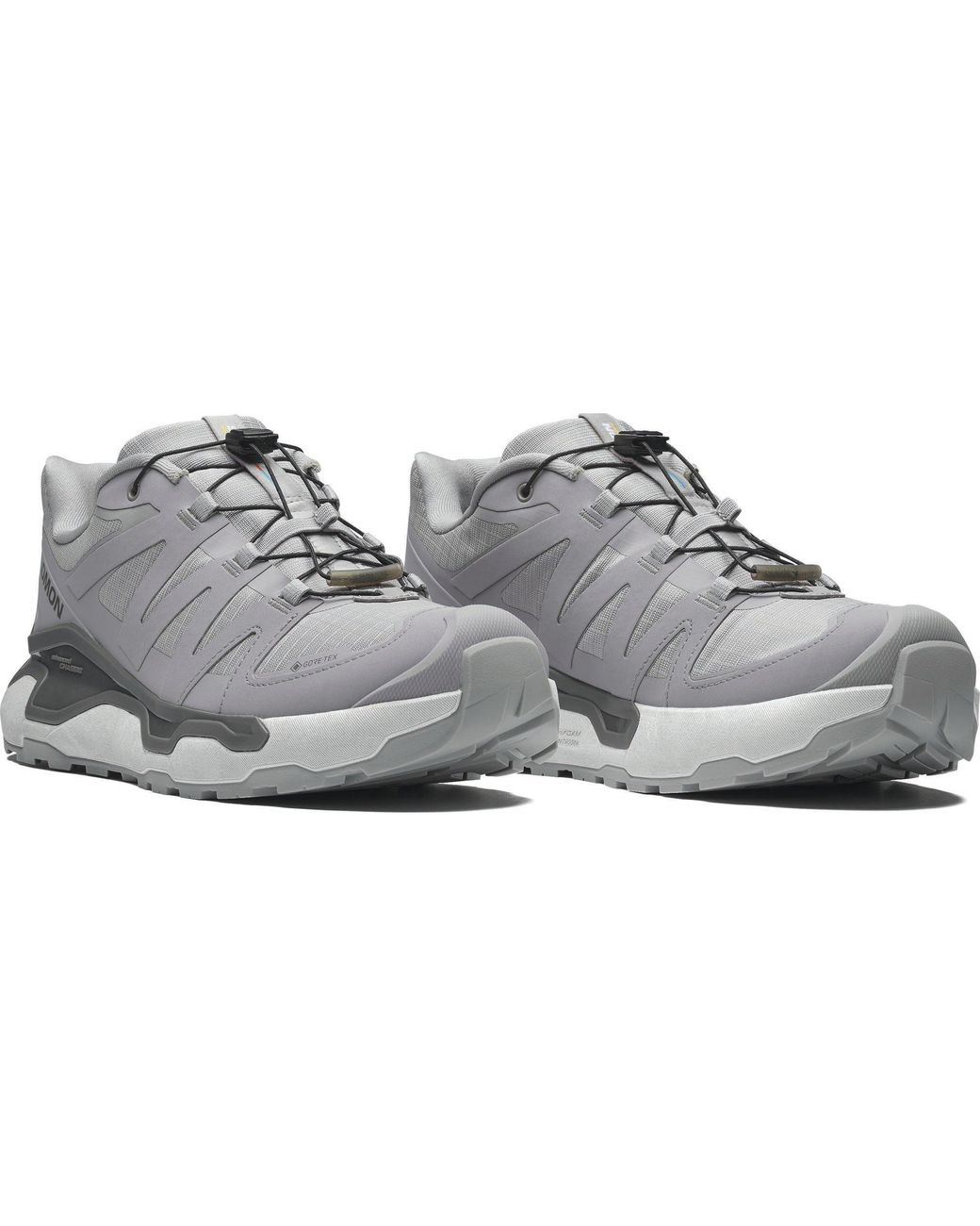 Salomon Gray Xc Roam Gtx for men