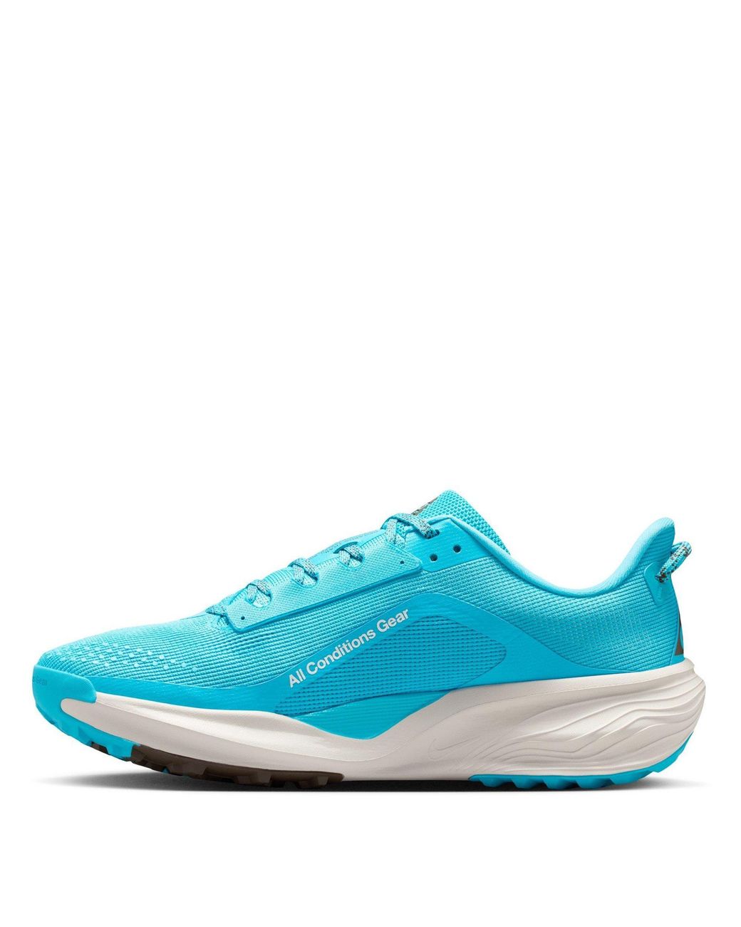 Nike Blue Pegaus 42S Running Shoes for men