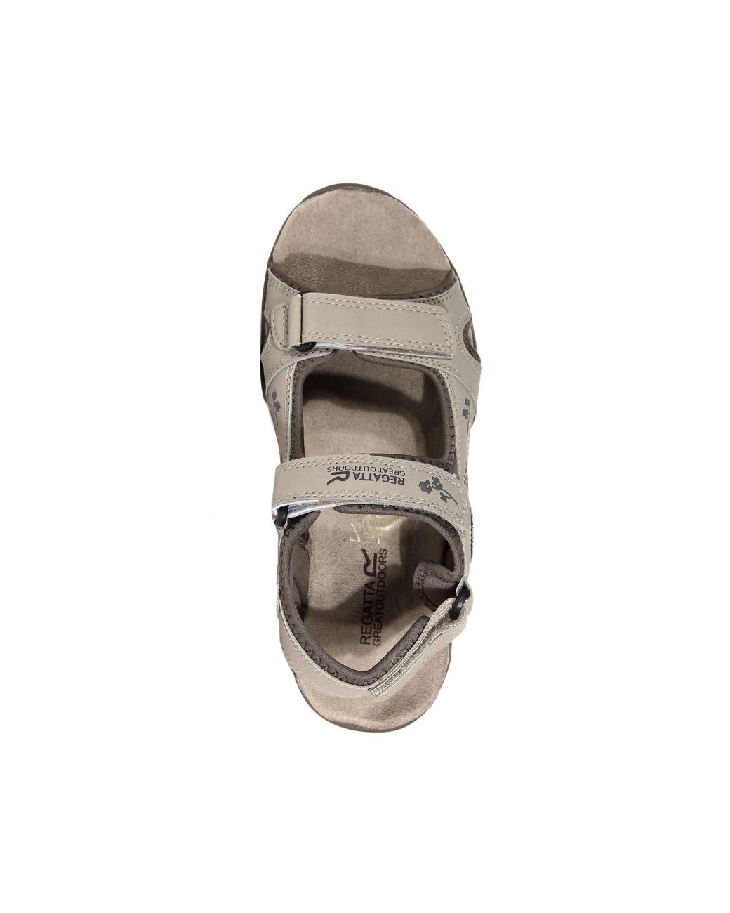 Regatta Brown Haris