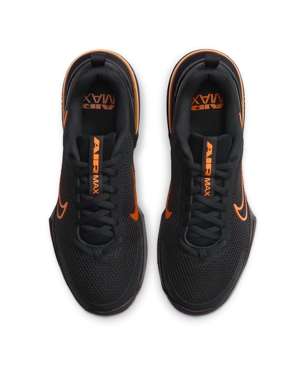 Nike Blue Air Max Alpha Trainer 6 Workout Shoes for men
