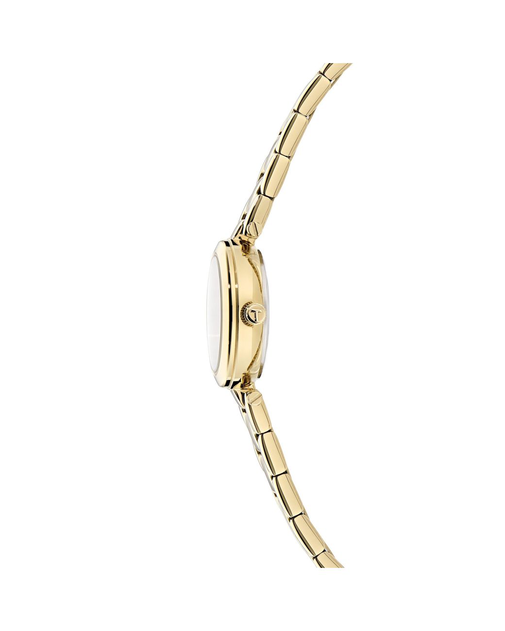 Ted Baker Metallic Jolyye Watch