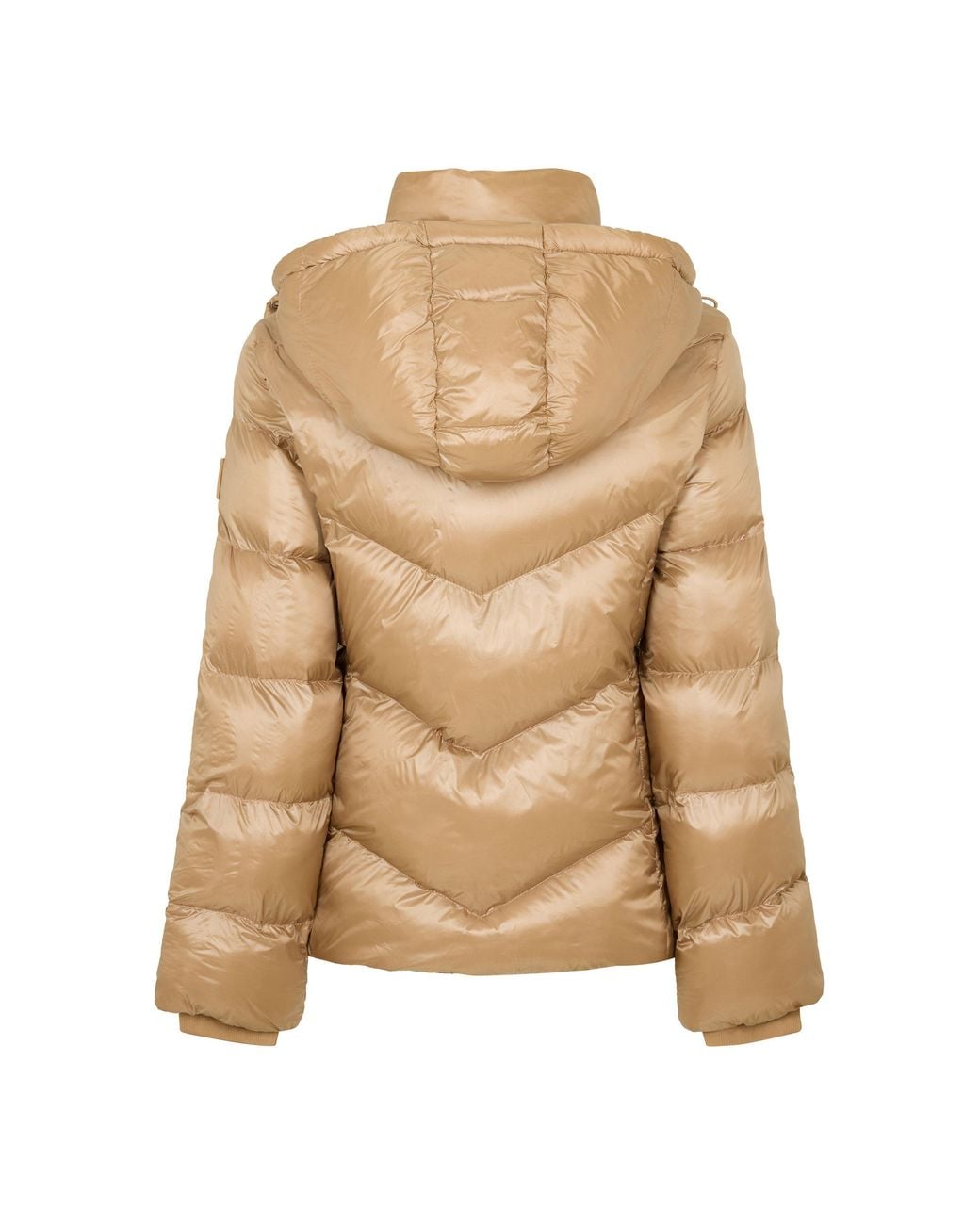 Boss Natural Pepule4 Padded Puffer Jacket