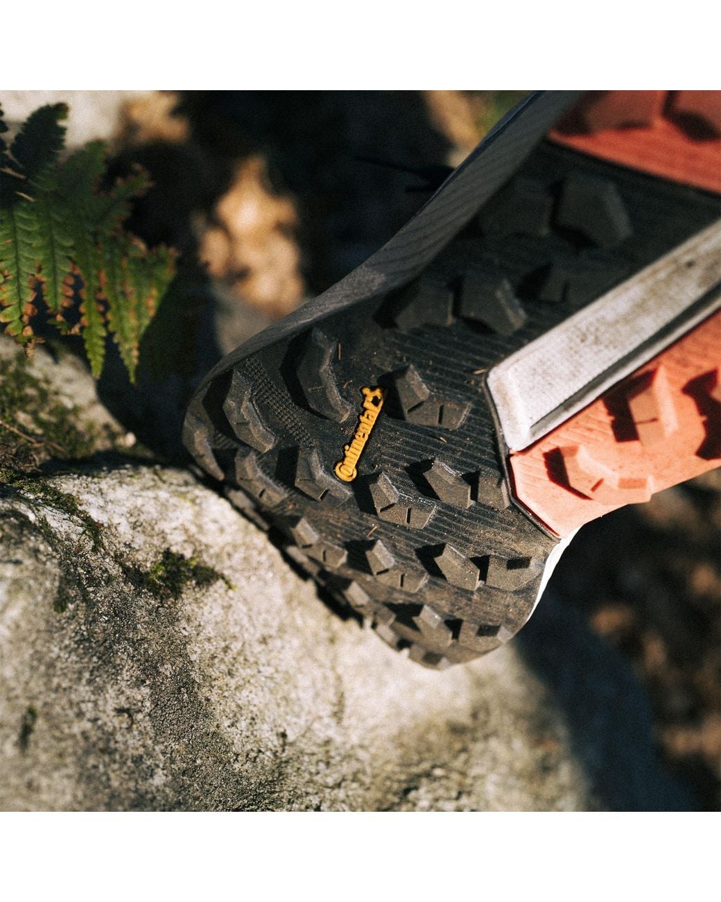 Adidas Blue Terrex Trail Ride Gore Tex Trainers