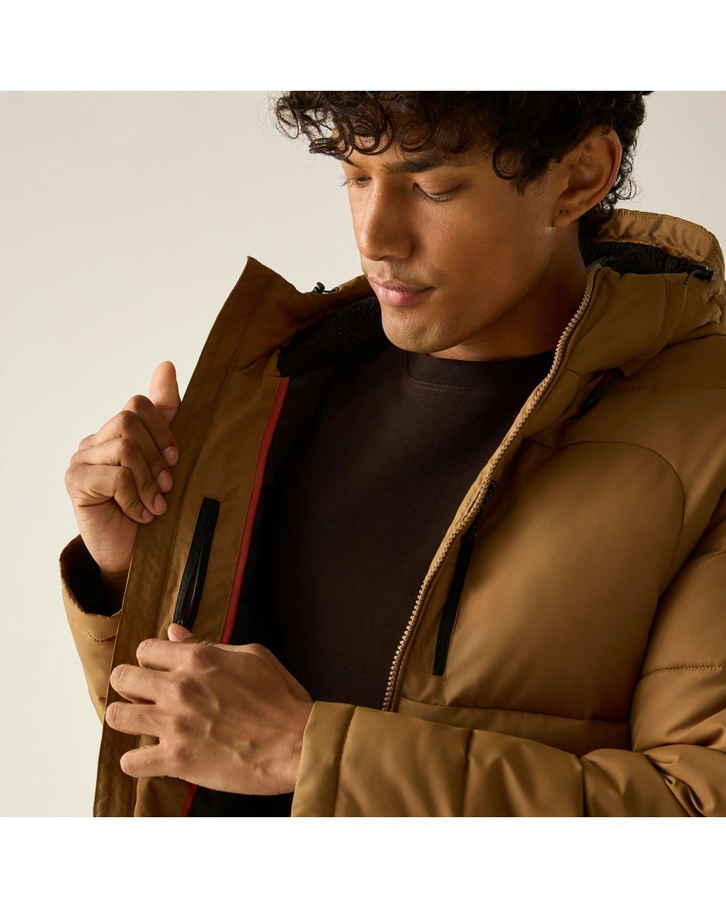 Regatta Brown Frankie Padded Jacket for men