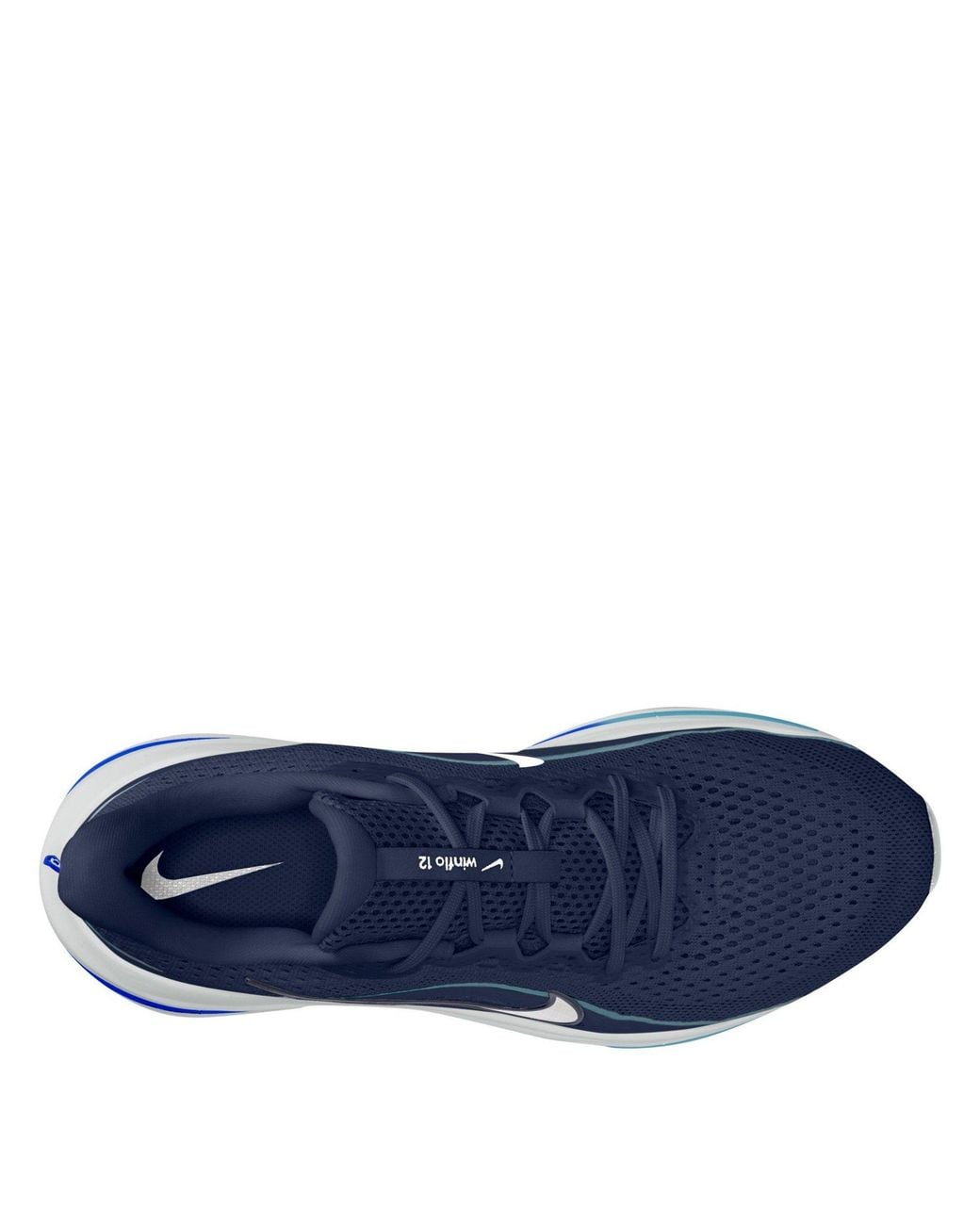 Nike Blue Winflo 12 Running Shoes for men