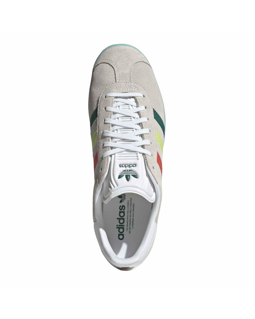 Adidas Green Gazelle Low Top Canvas Sneakers for men