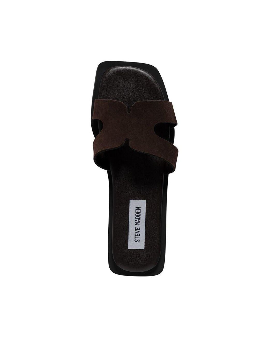 Steve Madden Brown Flat Sandals