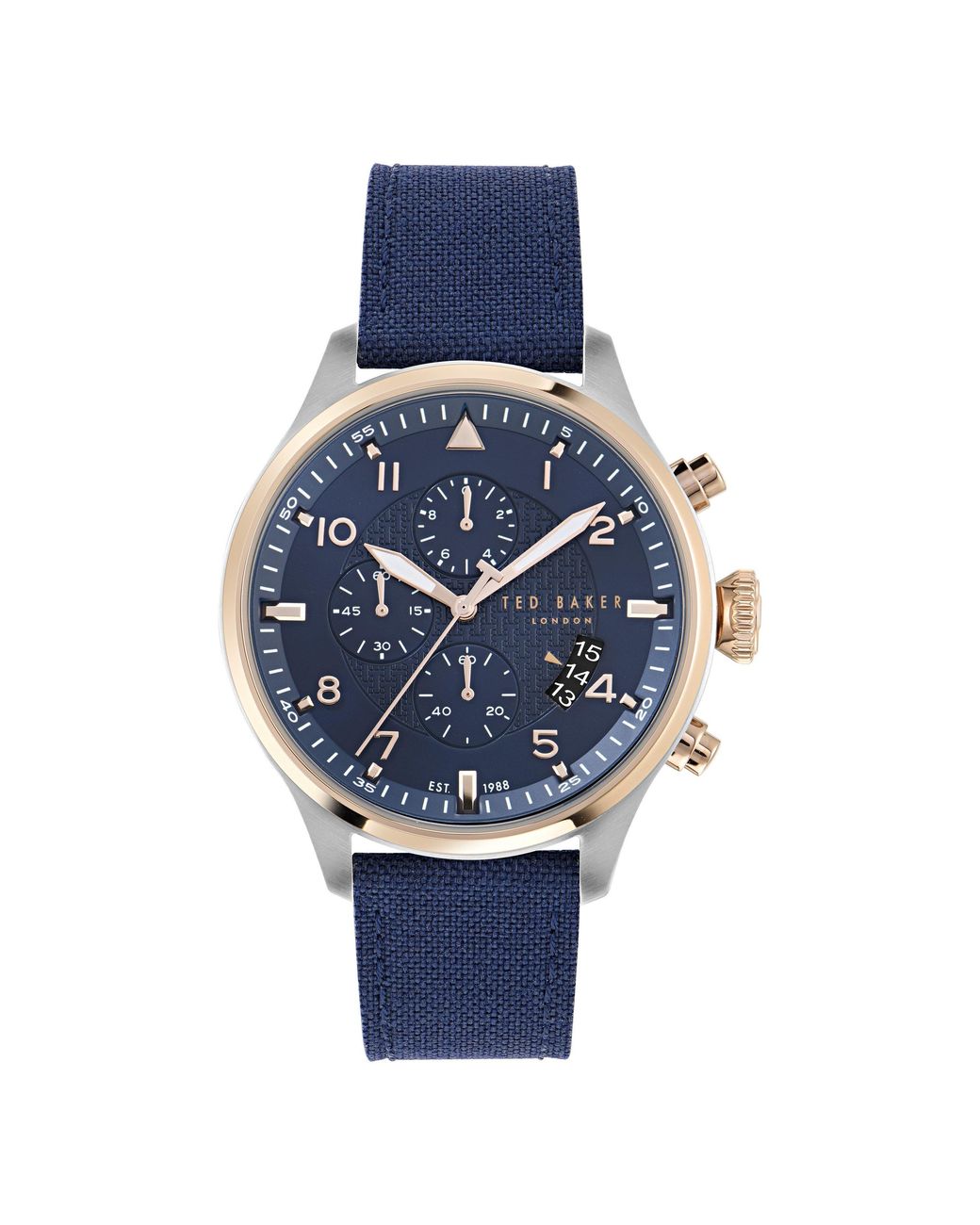 Ted Baker Blue Fulmaar Watch for men