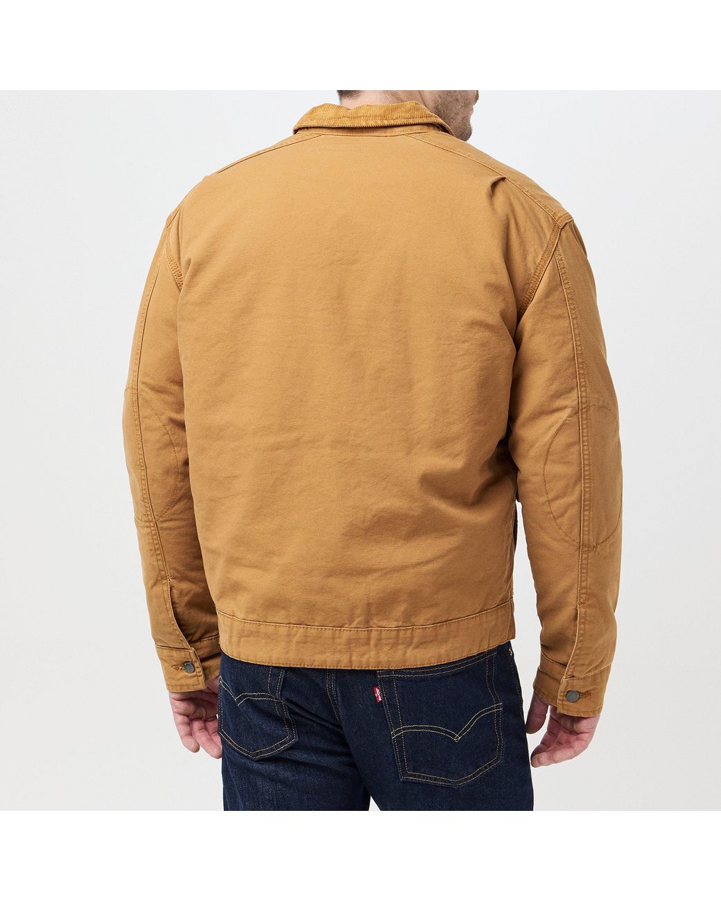 Timberland Brown Strafford Washed Canvas Insulated Field Jacket for men