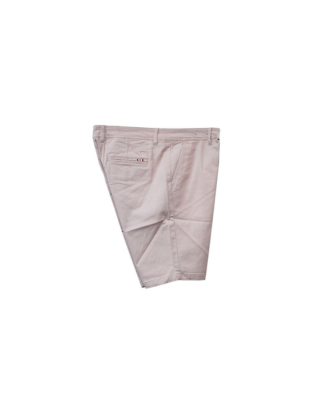 SoulCal & Co California Purple Chino Short for men