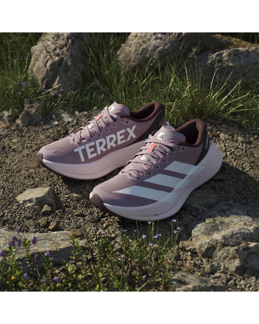 Adidas Multicolor Terrex Agravic Sl Trail Running Shoes