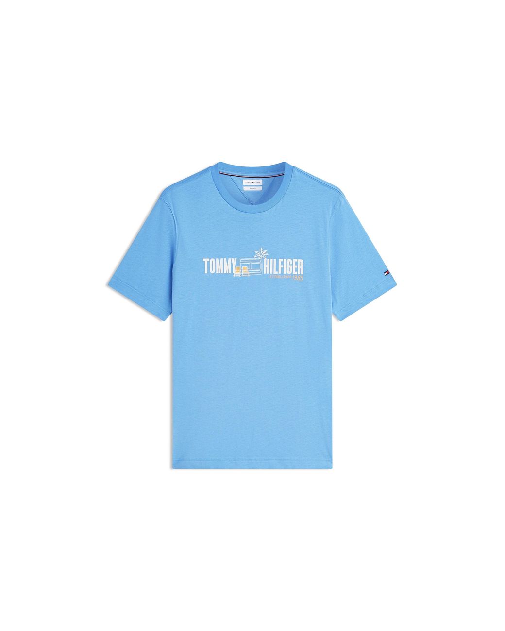 Tommy Hilfiger Blue T-Shirt for men