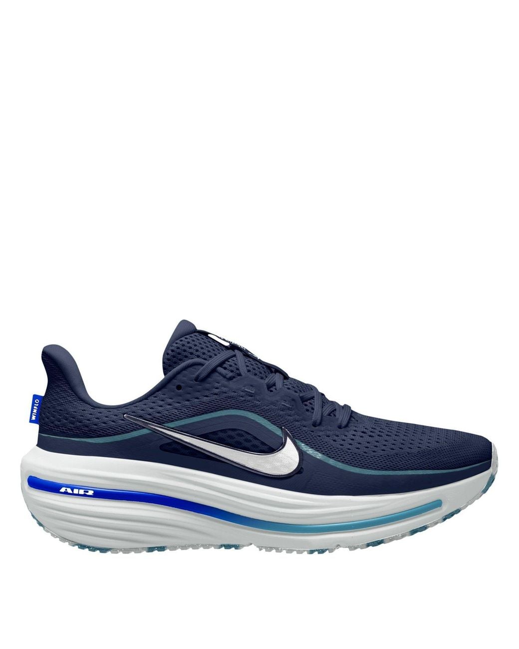 Nike Blue Winflo 12 Running Shoes for men