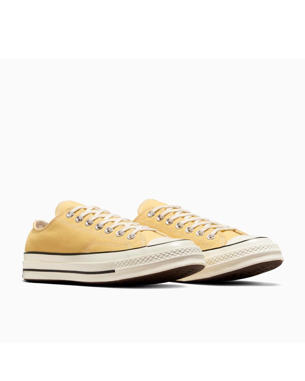 Converse Multicolor Adults Chuck 70 Canvas Trainers