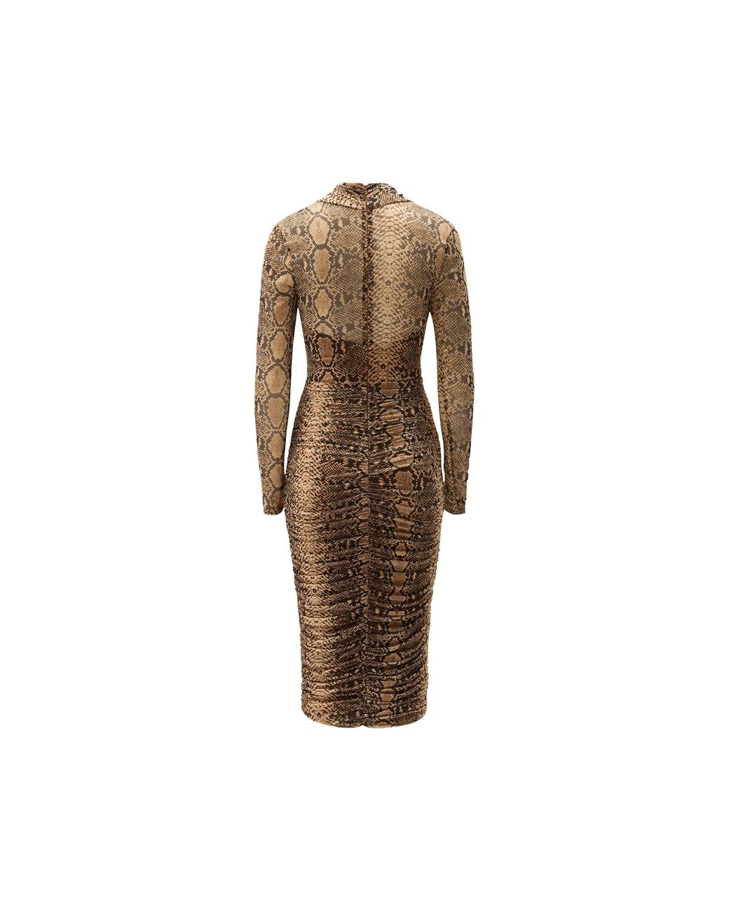 Bardot Brown Aliyah Midi Bodycon Dress