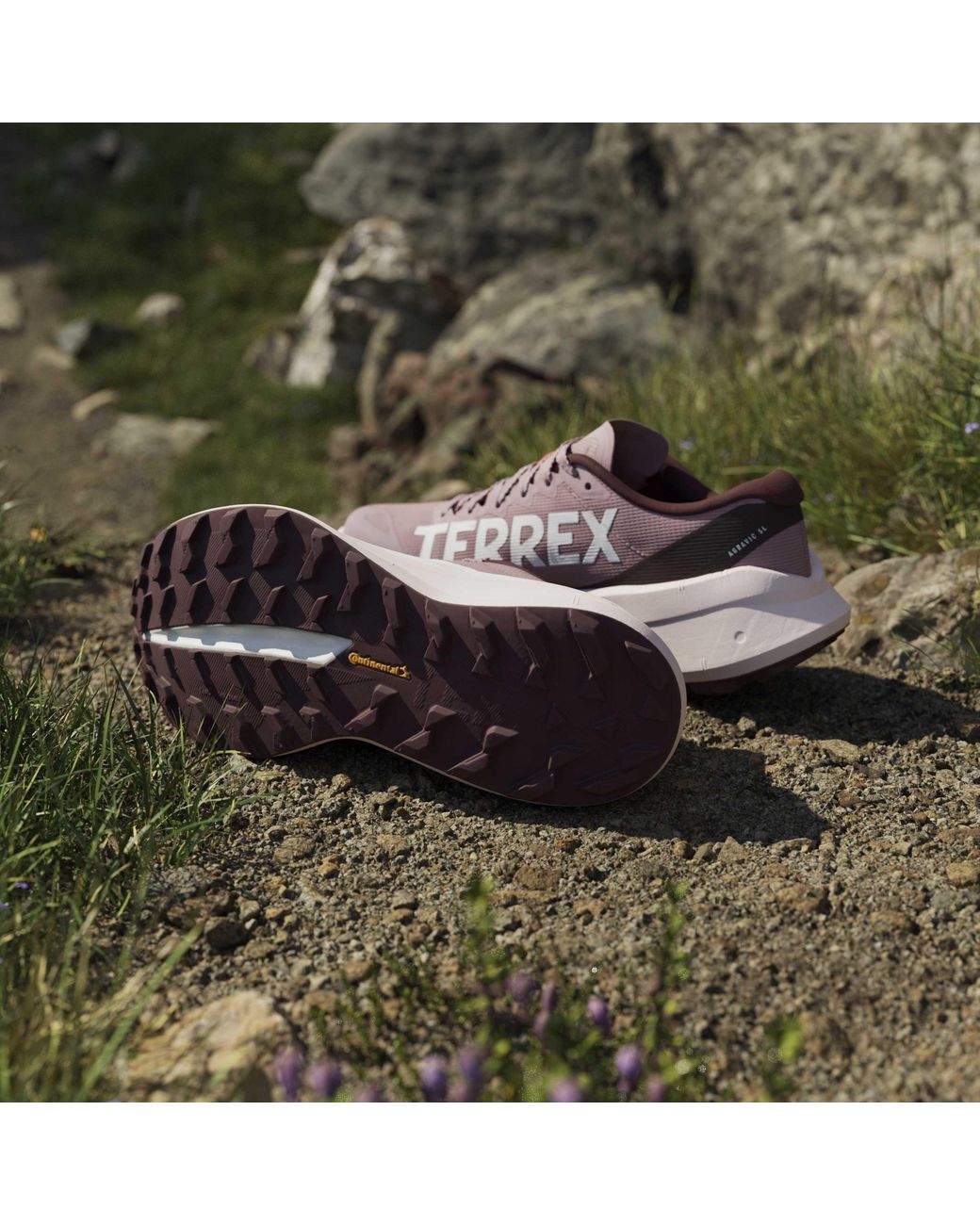 Adidas Multicolor Terrex Agravic Sl Trail Running Shoes