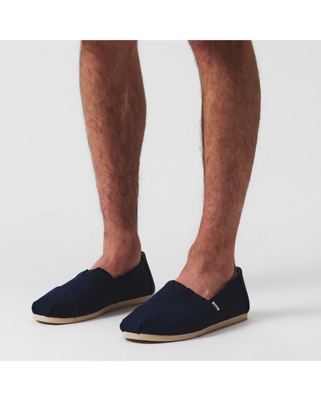 TOMS Blue Alpargata Canvas Shoes for men