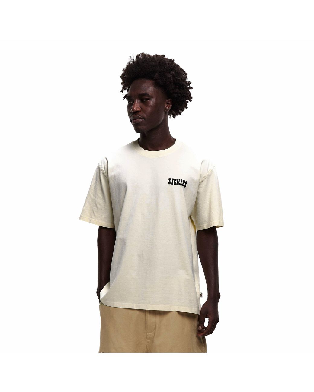 Dickies Natural Buchtell Tee for men